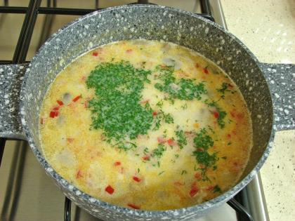 Sebzeli Mantar Çorbası