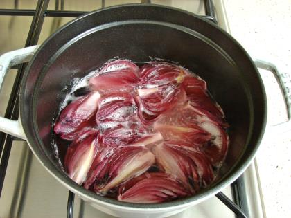 Hızlı Soğan Turşusu