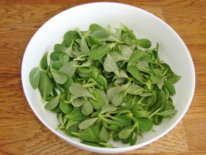 Patatesli Semizotu Salatası