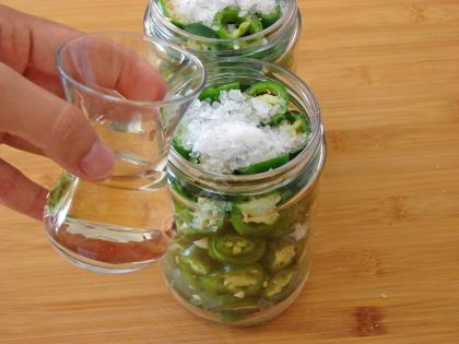 Jalapeno Biber Turşusu