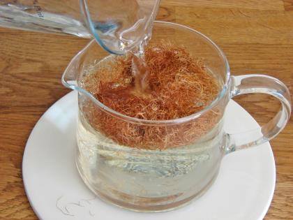 Mısır Püskülü Çayı