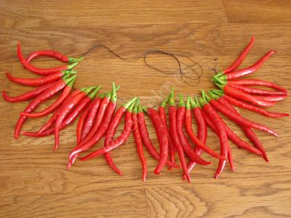 Acı Biber Nasıl Kurutulur