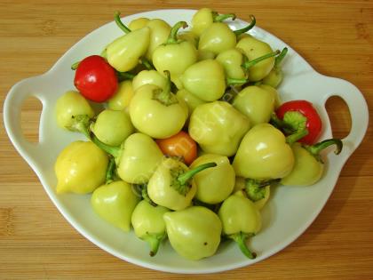 Tombul Acı Biber Turşusu