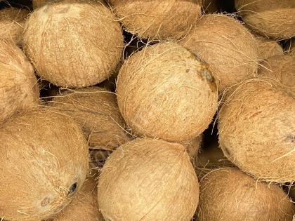 Hindistan Cevizinin Faydaları