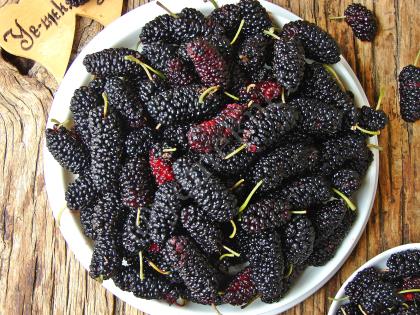 Karadutun Faydaları