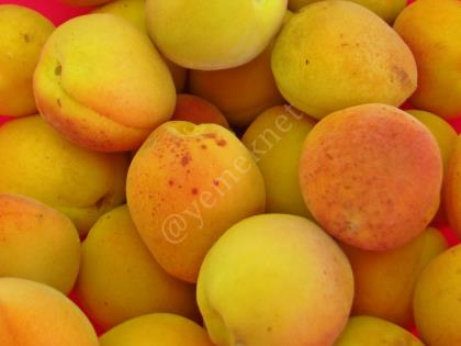 Kayısının Faydaları