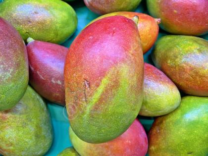 Mangonun Faydaları