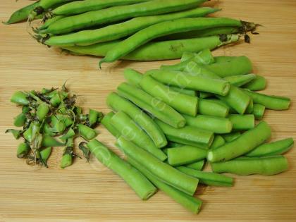 Buzlukta Taze Bakla Saklama