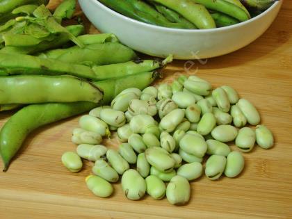 Buzlukta İç Bakla Saklama