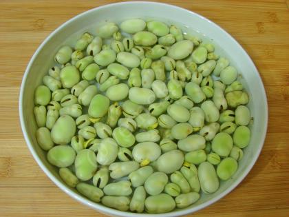 Buzlukta İç Bakla Saklama