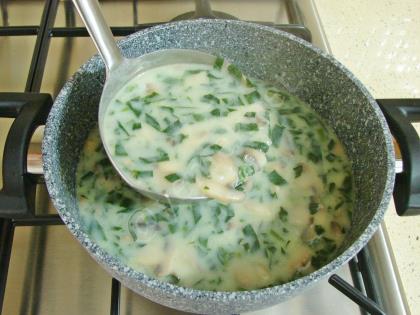 Ispanaklı Mantar Çorbası