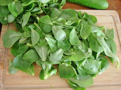 Semizotlu Kaşık Salatası