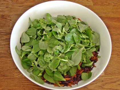 Mor Lahanalı Semizotu Salatası