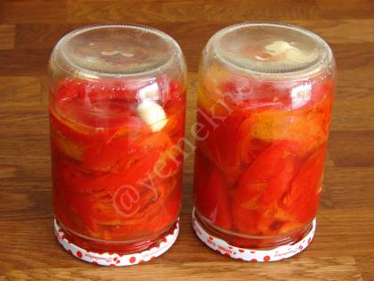 Kırmızı Biber Konservesi