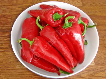 Kırmızı Biber Konservesi