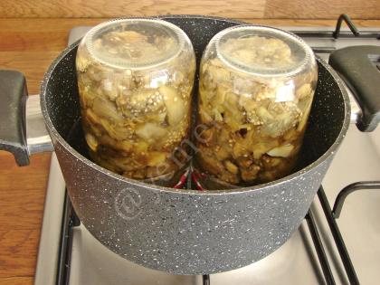 Közlenmiş Patlıcan Konservesi