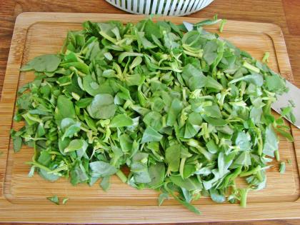 Nohutlu Semizotu Yemeği