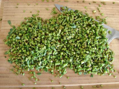 Semizotu Sapı Mücveri