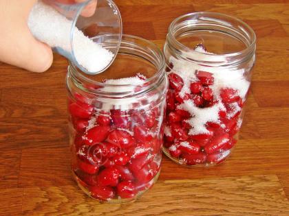 Kızılcık Konservesi