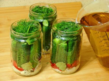 Alman Tipi Salatalık Turşusu