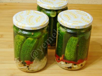 Alman Tipi Salatalık Turşusu