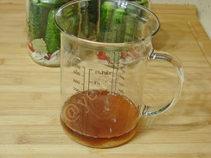 Alman Tipi Salatalık Turşusu