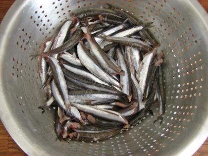 Fırında Hamsi Ekşilisi