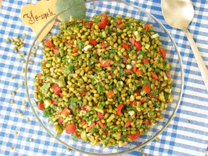 Maş Fasulyesi Salatası