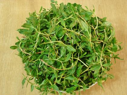 Yoğurtlu Madımak Salatası