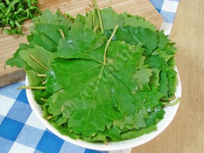 Yoğurtlu Asma Yaprağı Salatası