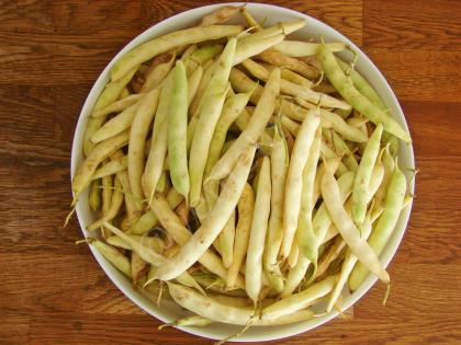 Buzlukta Süt Fasulyesi Saklama Yöntemi