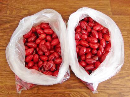 Buzlukta Kızılcık Saklama Yöntemi