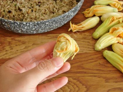 Kabak Çiçeği Dolması