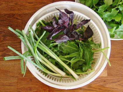 Soğanlı Roka Salatası