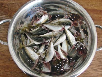 Tavada Salçalı İstavrit