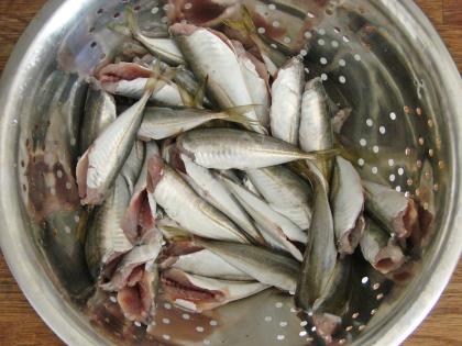 Fırında Sebzeli İstavrit