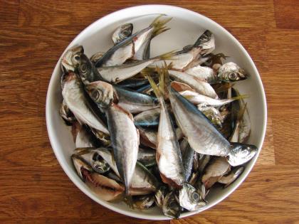 Yumurtalı Balık Kızartması