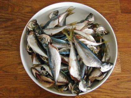 Fırında Kılçıksız İstavrit