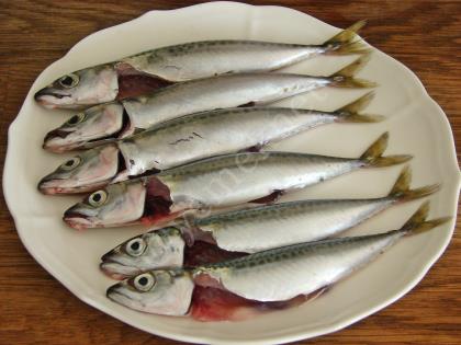 Fırında Sebzeli Uskumru