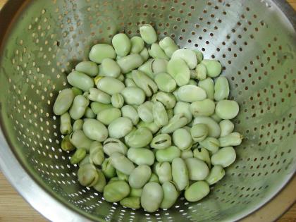 Zeytinyağlı Taze İç Bakla