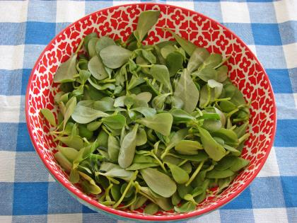 Ekşi Elmalı Semizotu Salatası