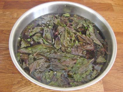 Limonlu Reyhan Şerbeti