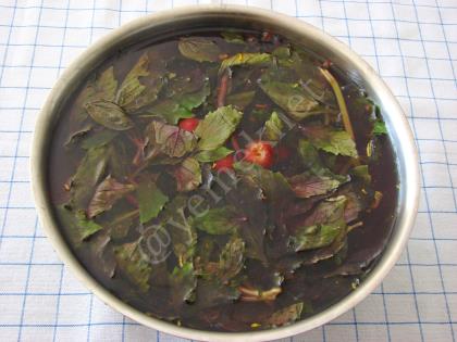 Vişneli Reyhan Şerbeti