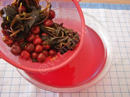 Vişneli Reyhan Şerbeti