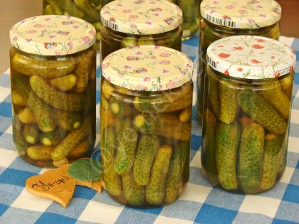 Kornişon Salatalık Turşusu