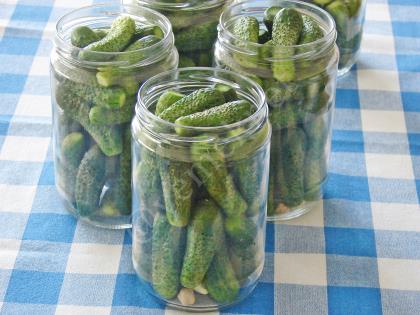 Kornişon Salatalık Turşusu