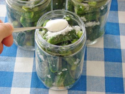 Kornişon Salatalık Turşusu