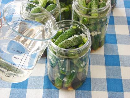 Kornişon Salatalık Turşusu