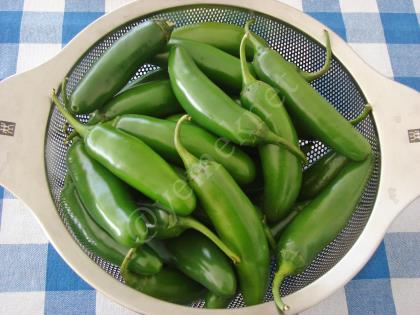 Peynir Dolgulu Jalapeno Biber Turşusu