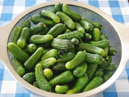 Sirkesiz Limonsuz Kornişon Turşusu